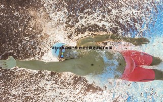 bwin必赢官网-贝拉尔多闪耀巴黎 欧冠之巅见证新王加冕