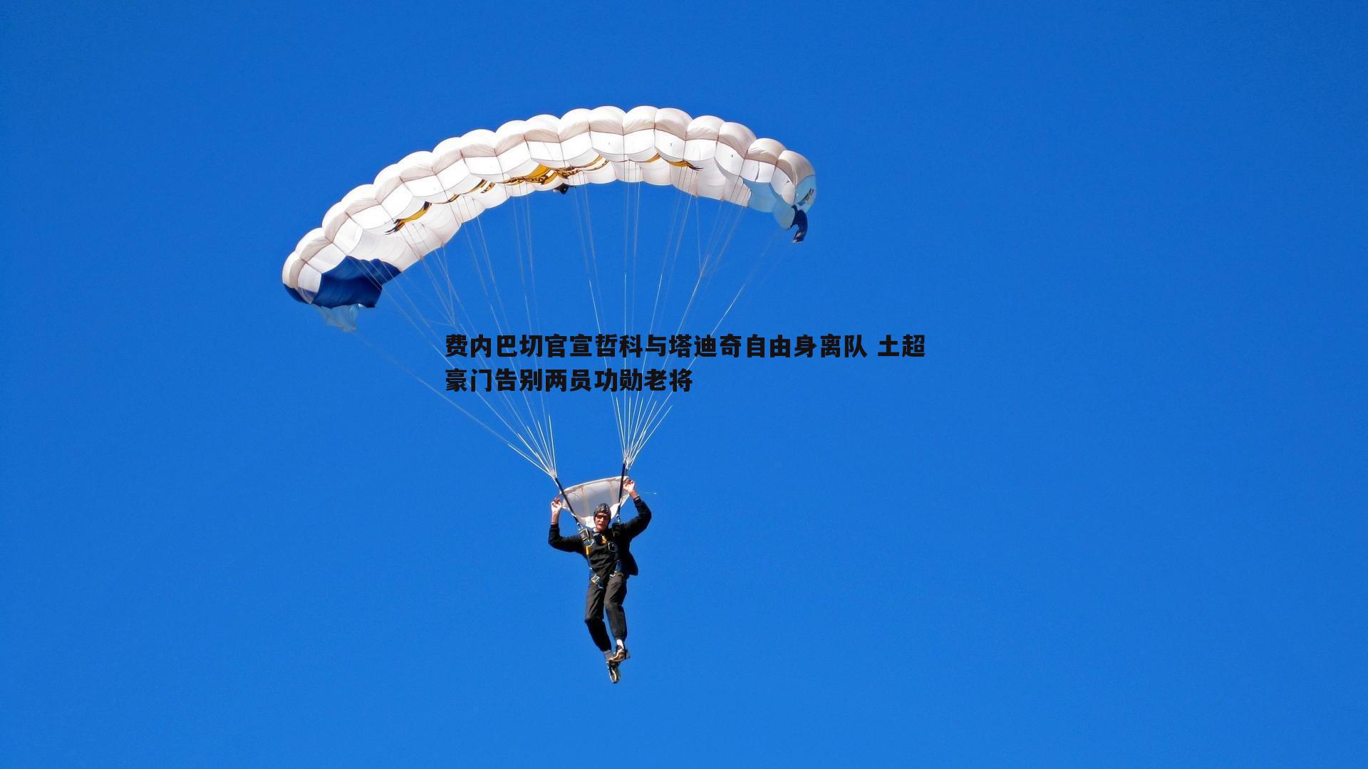 bwin必赢官网-费内巴切官宣哲科与塔迪奇自由身离队 土超豪门告别两员功勋老将-第1张图片-bwin必赢官网